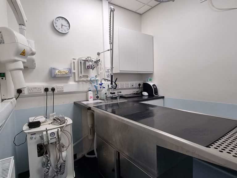 wolds veterinary dental suite