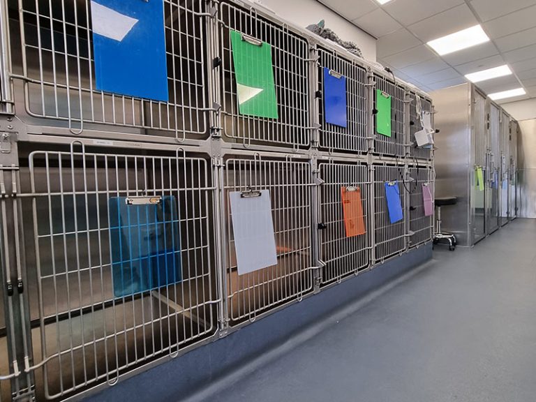 wolds veterinary dog ward